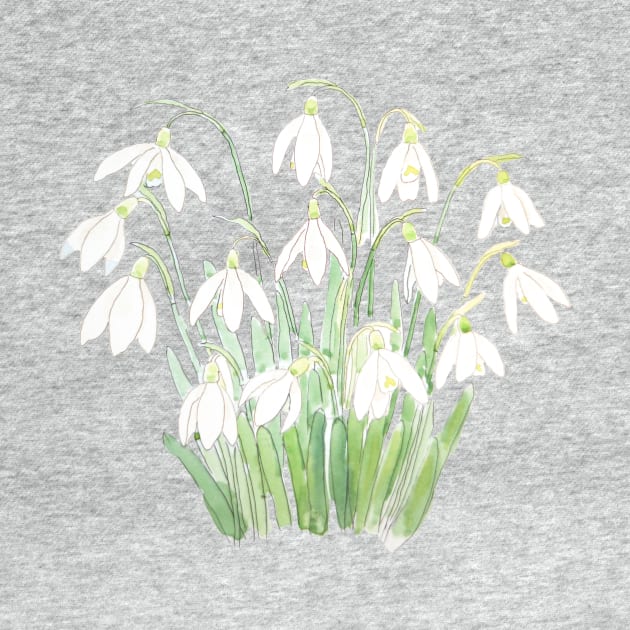 white snowdrop flower botanical watercolor painting by colorandcolor
